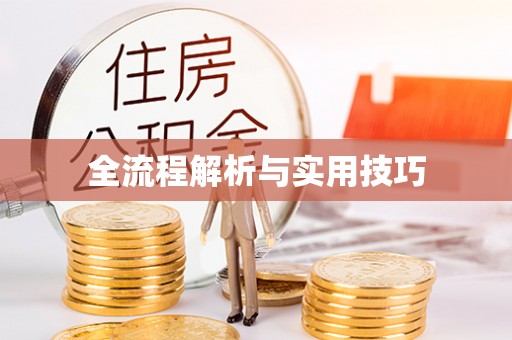 淄博全流程解析与实用技巧
