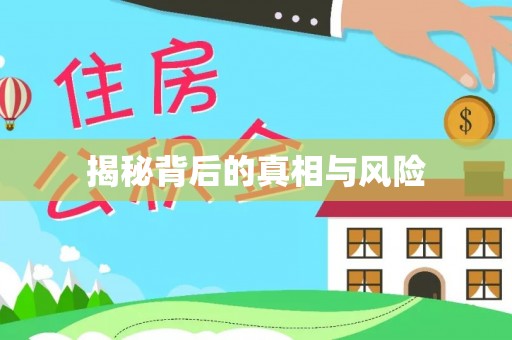 淄博揭秘背后的真相与风险