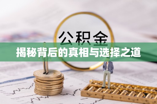 淄博揭秘背后的真相与选择之道