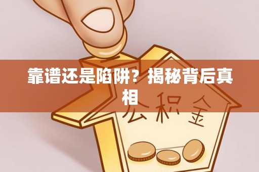 淄博靠谱还是陷阱？揭秘背后真相