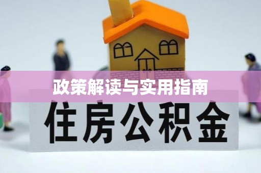 淄博政策解读与实用指南