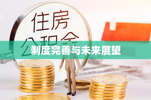 淄博制度完善与未来展望