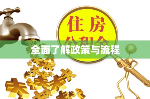 淄博全面了解政策与流程