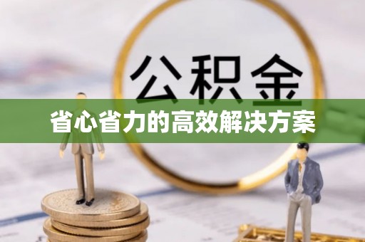 淄博省心省力的高效解决方案