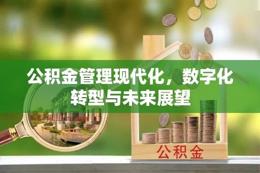 淄博公积金管理现代化，数字化转型与未来展望