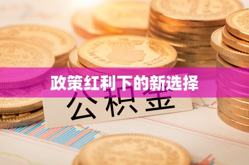 淄博政策红利下的新选择