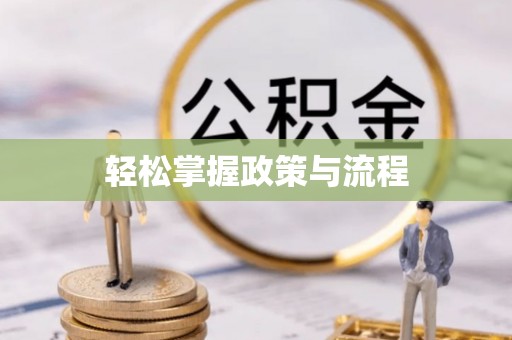 淄博轻松掌握政策与流程