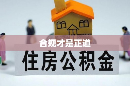 淄博合规才是正道